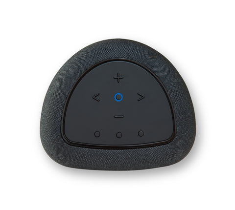 Bluesound Pulse Flex Wireless All-In-One Music Streaming Speaker (2025)