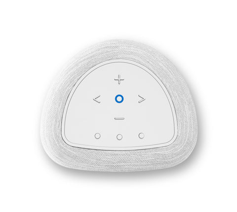 Bluesound Pulse Flex Wireless All-In-One Music Streaming Speaker (2025)