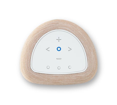 Bluesound Pulse Flex Wireless All-In-One Music Streaming Speaker (2025)