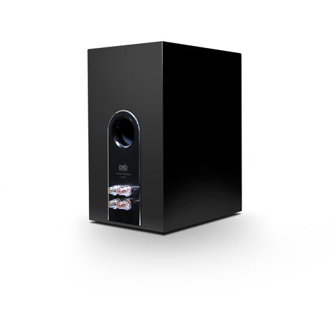 Synchrony B600 Bookshelf Speakers (Black) - Rear View